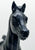 Family Arabian Foal, Solid Black - Model Horse Congress SR - 500 Made