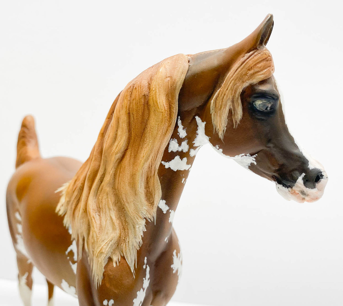 AUCTION: Sister, Traditional Custom Artist Resin Arabian Mare by Kitty Cantrell/ Sherry Carr
