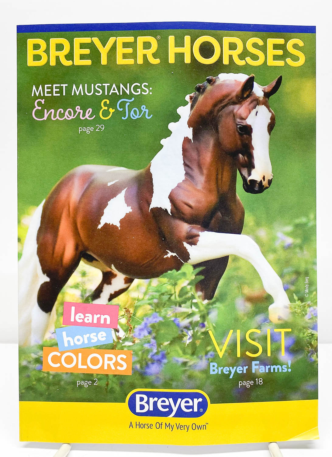 2021 Breyer Box Brochure - Adiah