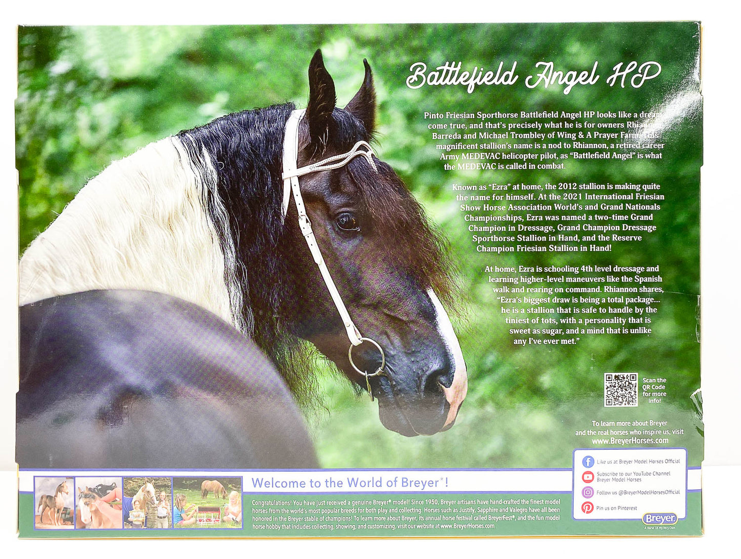 Friesian Sporthorse ~ Battlefield Angel HP