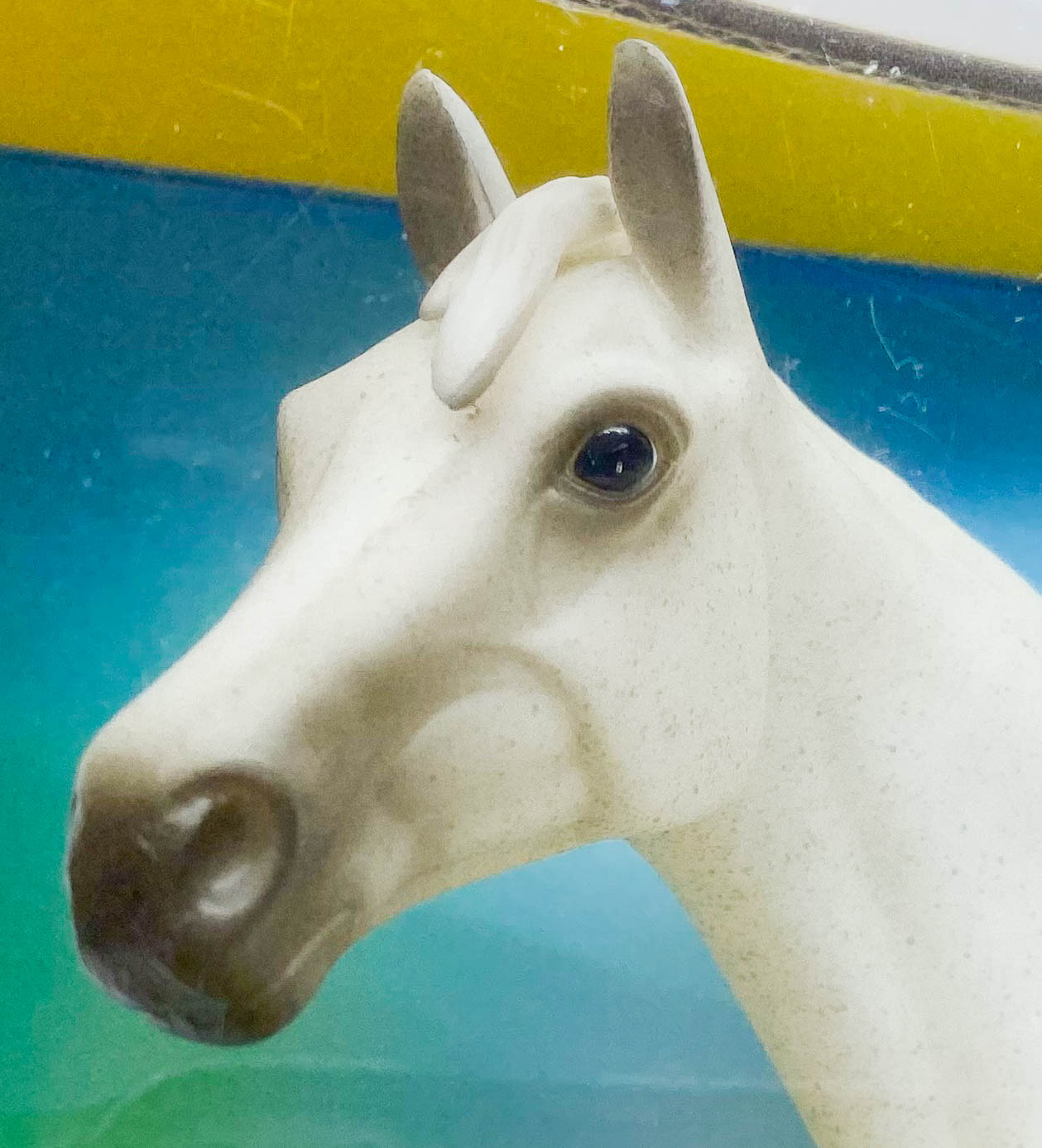 Show Thoroughbred, Fleabitten Grey