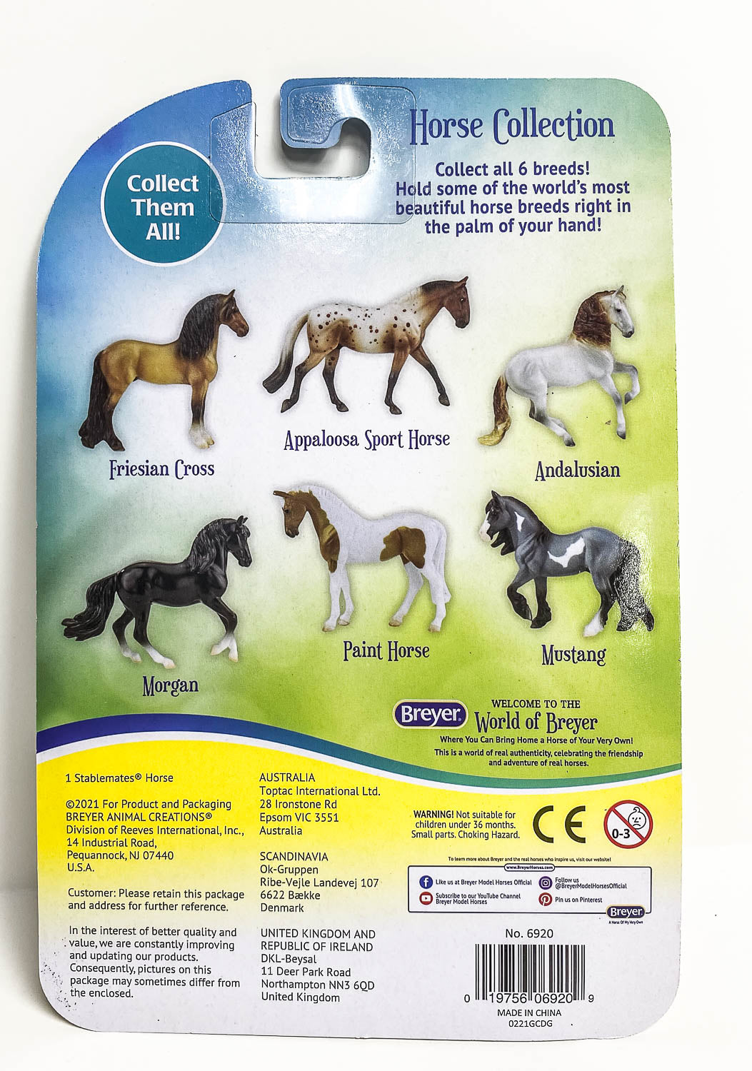 Standing Thoroughbred ~ Paint Horse