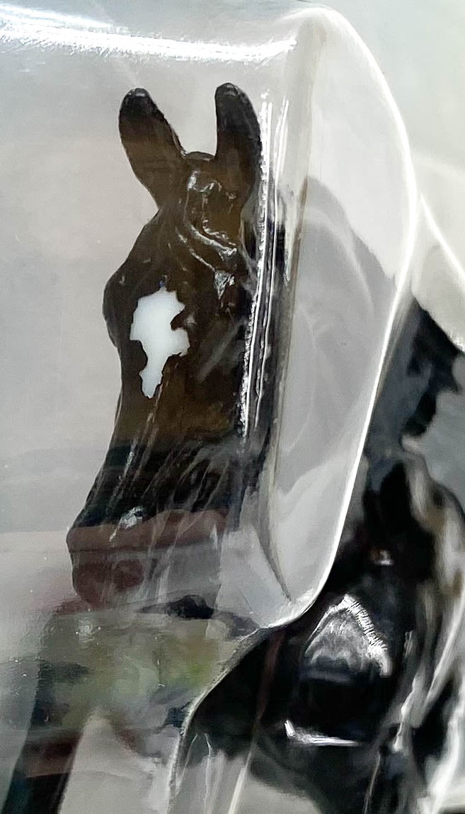 Darley Arabian, Black