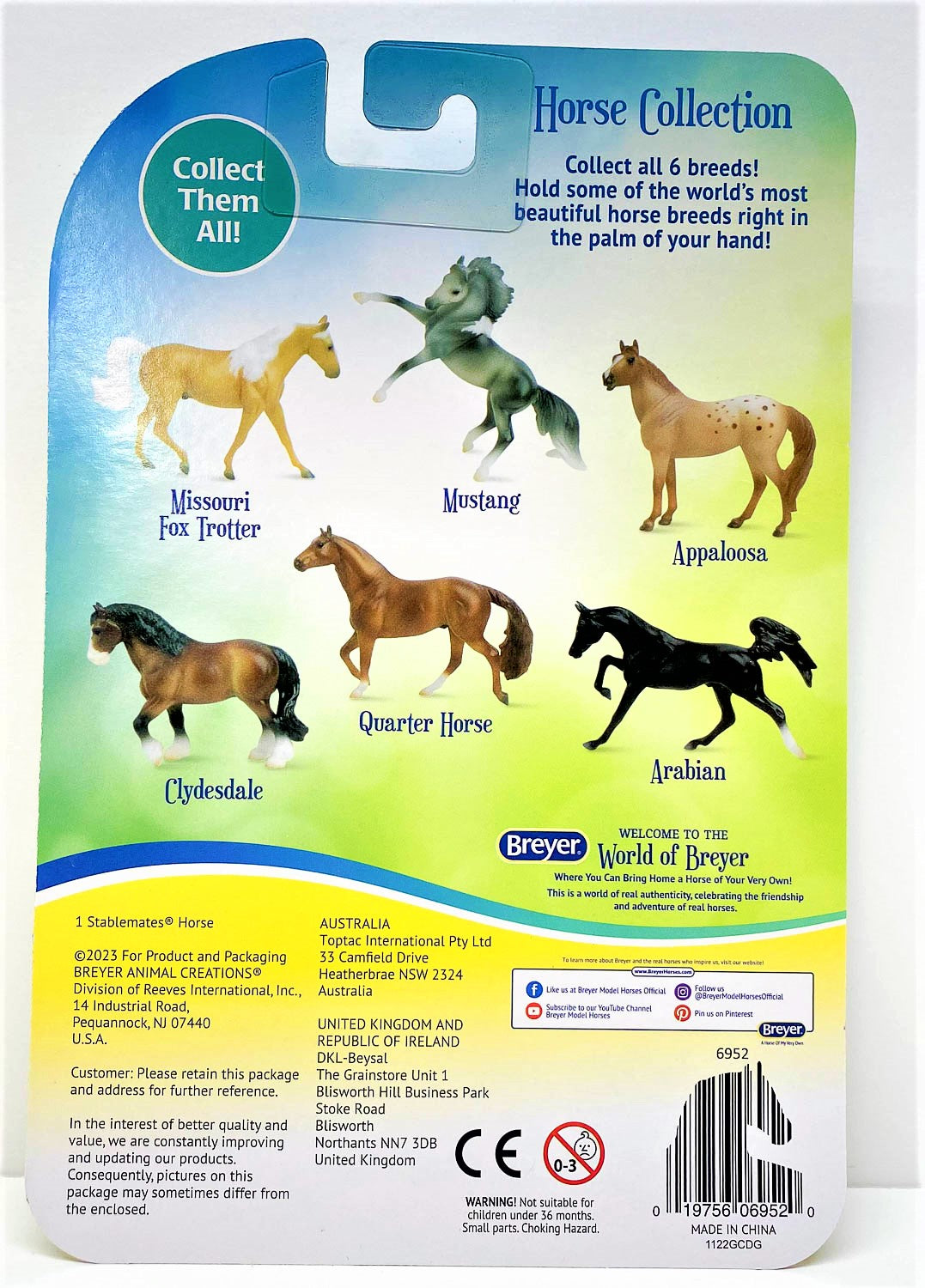 Standing Stock Horse, Red Roan Appaloosa