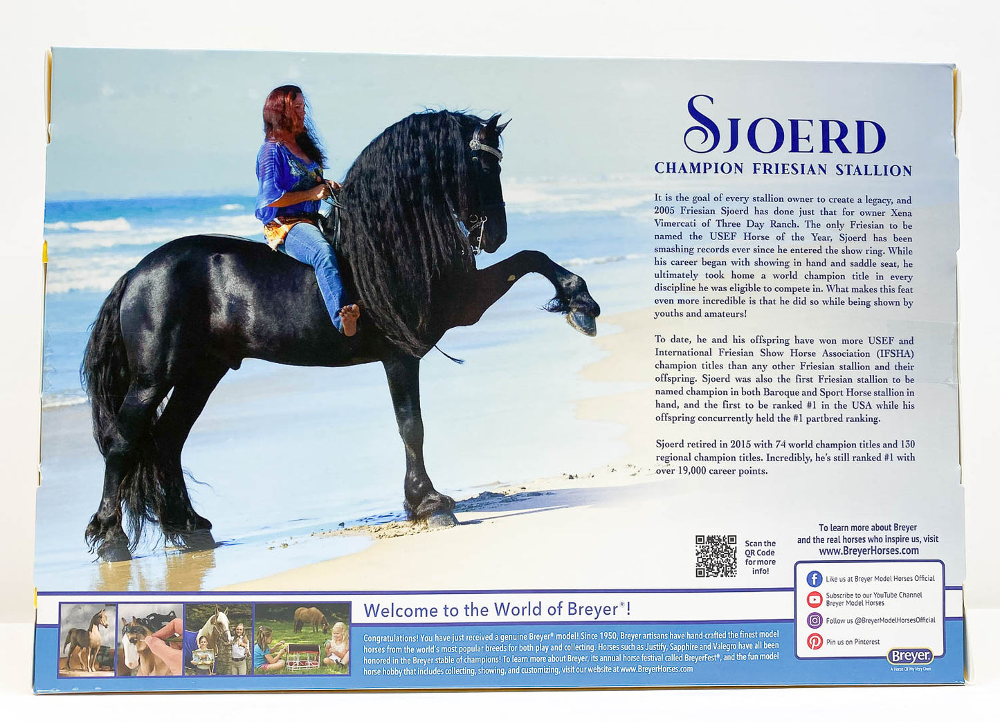 Iberian ~ Sjoerd, Champion Friesian Stallion