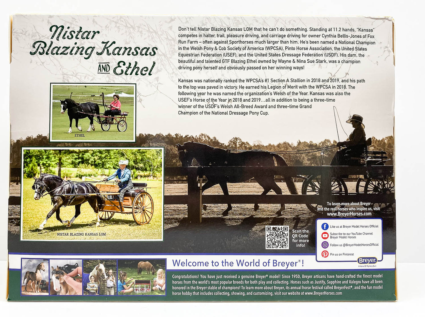 Welsh Pony Mare & Foal ~ Nistar Blazing Kansas LOM & GTF Blazing Ethel