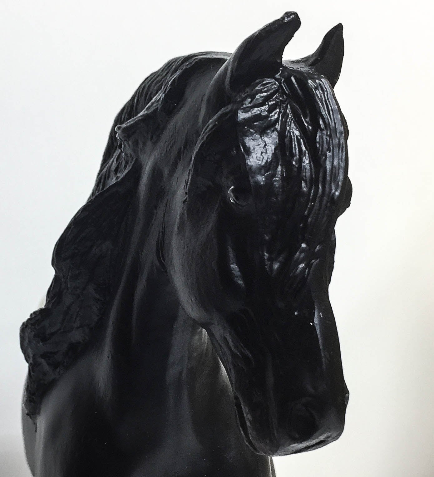 Friesian ~ Daisy's Chief Dane "Harley"