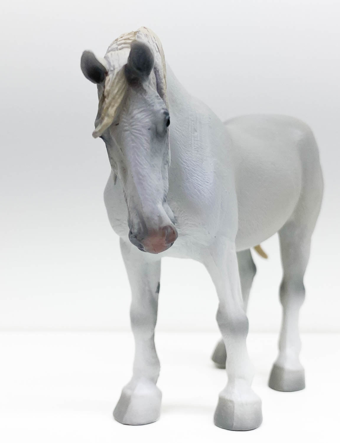 Percheron Mare, Grey