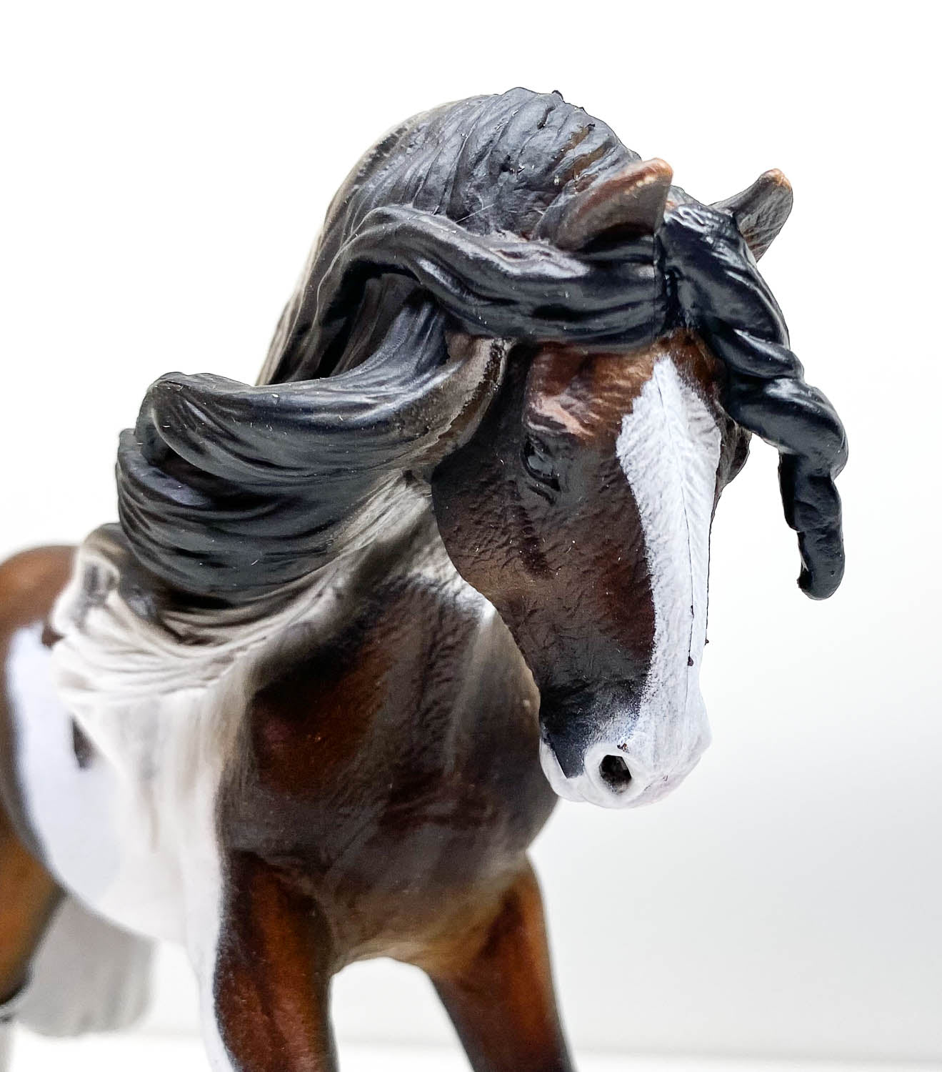 Tinker Stallion, Bay Pinto