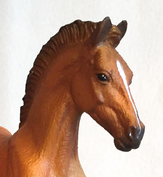 Hanoverian Foal, Silver Bay