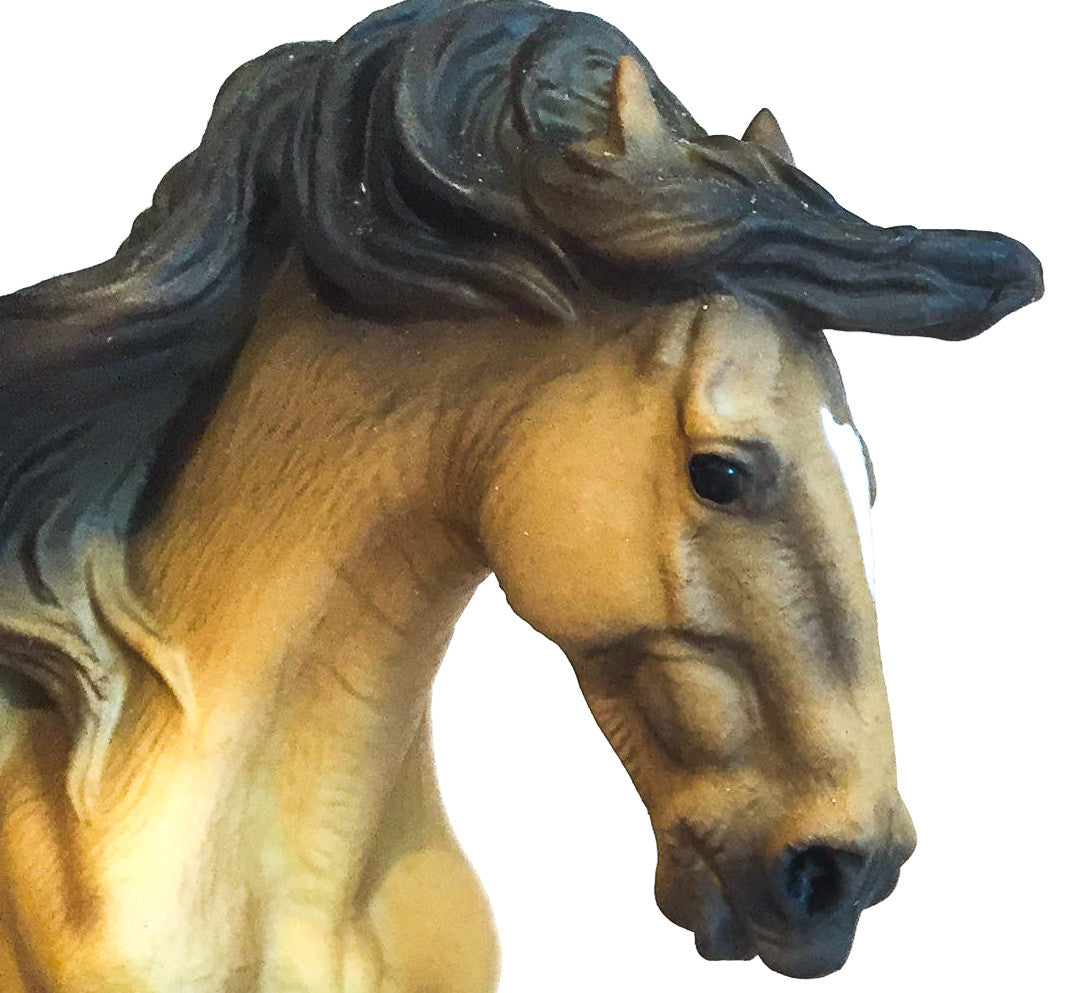 Lusitano Stallion, Buckskin