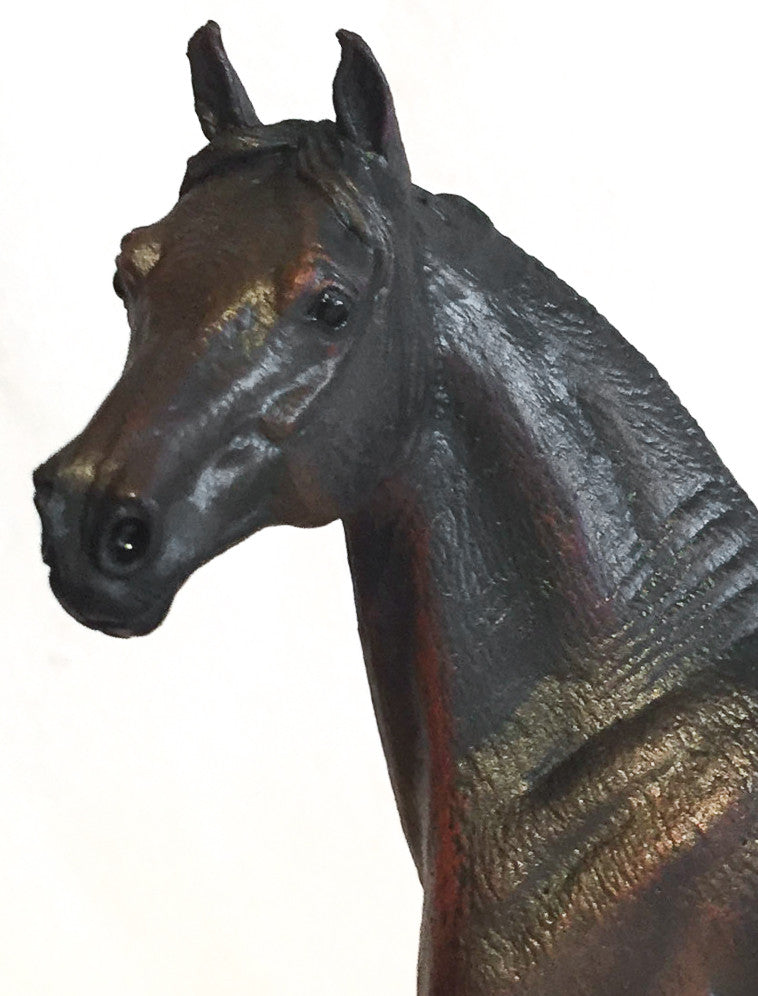 Morgan Stallion, Bay