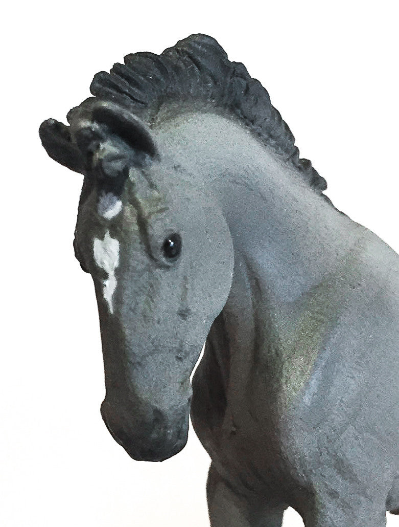 Mustang Foal, Grulla