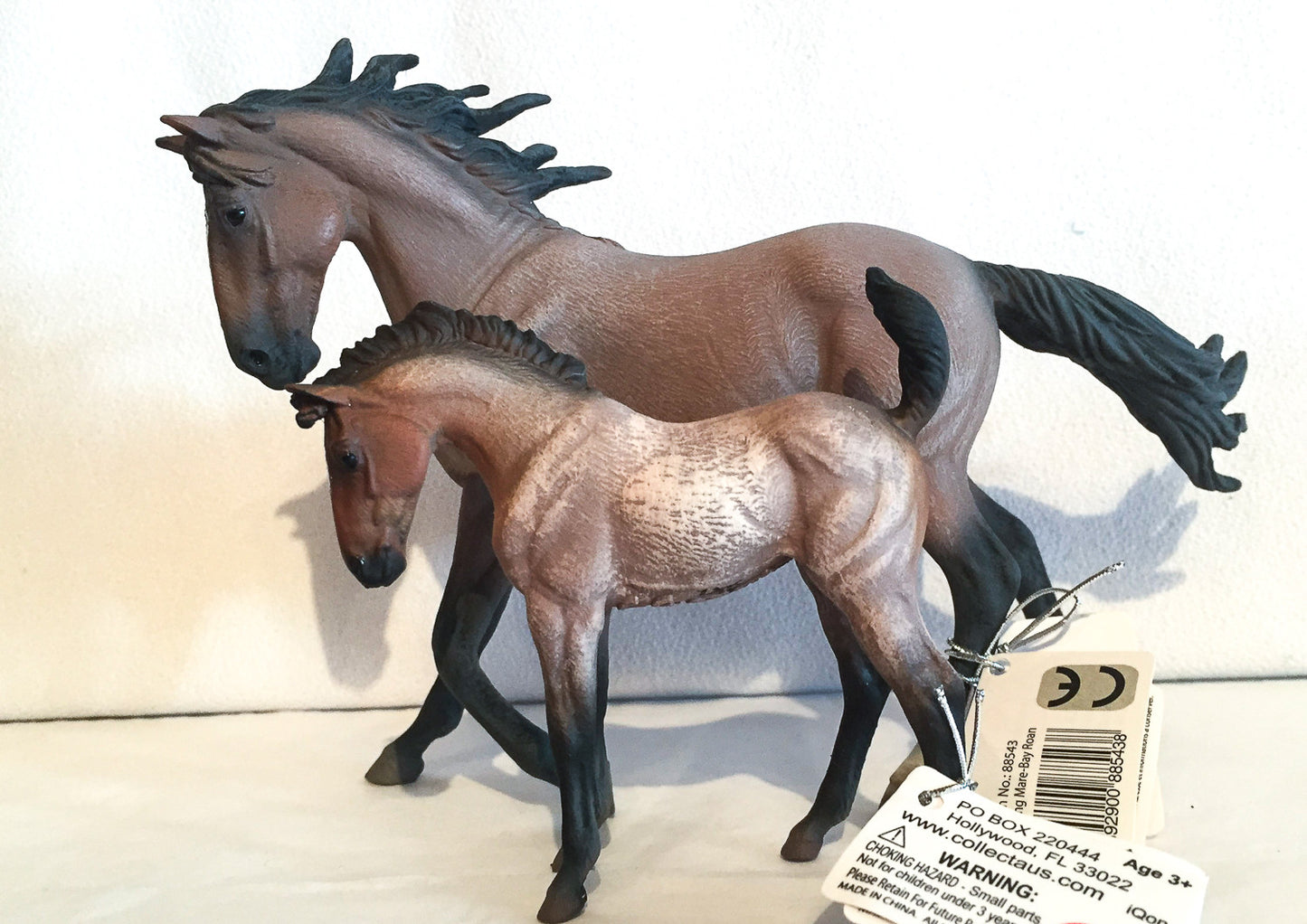 Mustang Mare, Bay Roan