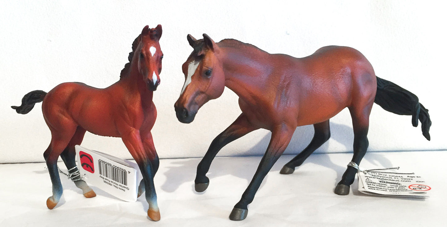 Quarter Horse Foal, Bay