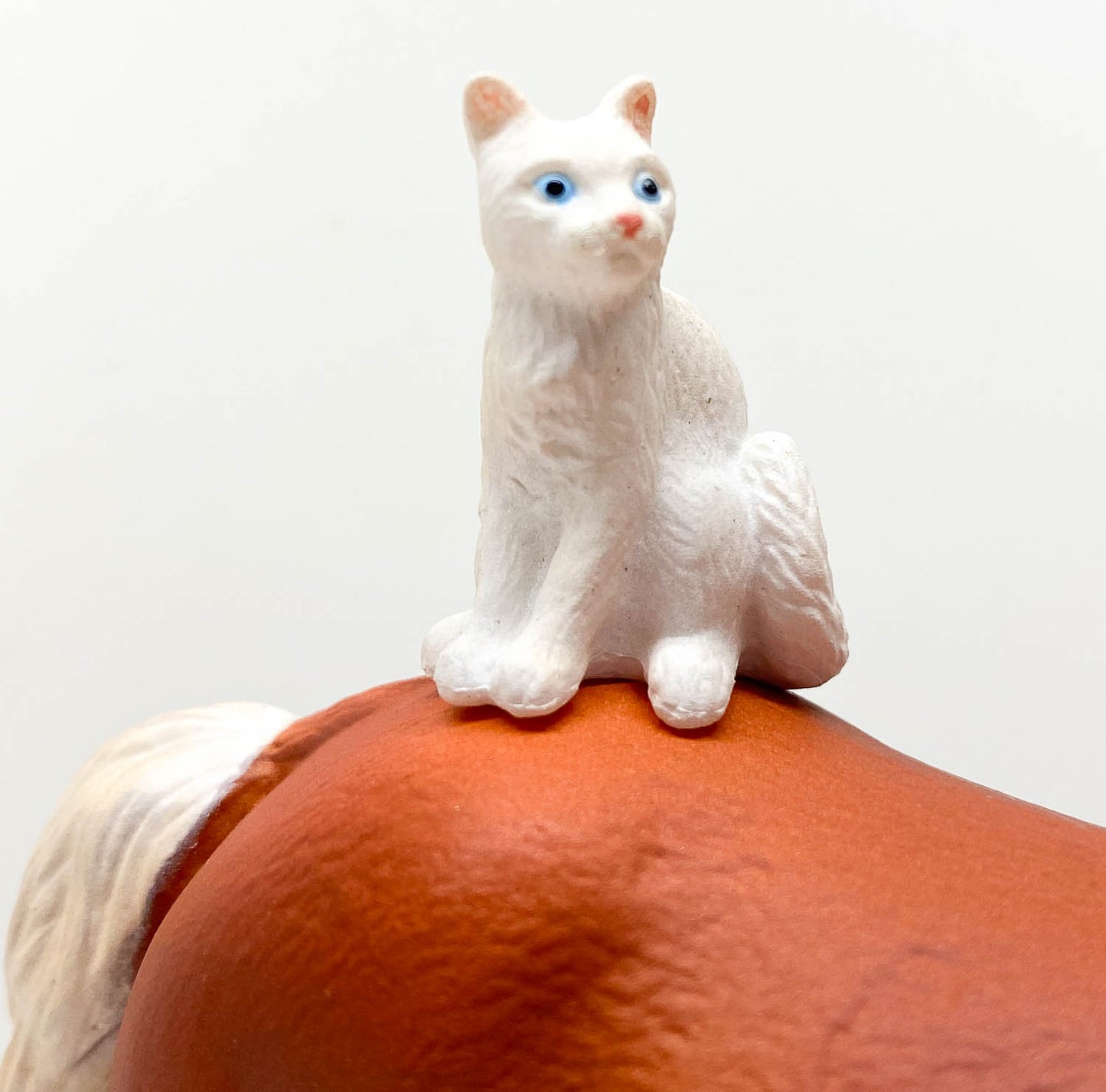 Draft Horse with Cat