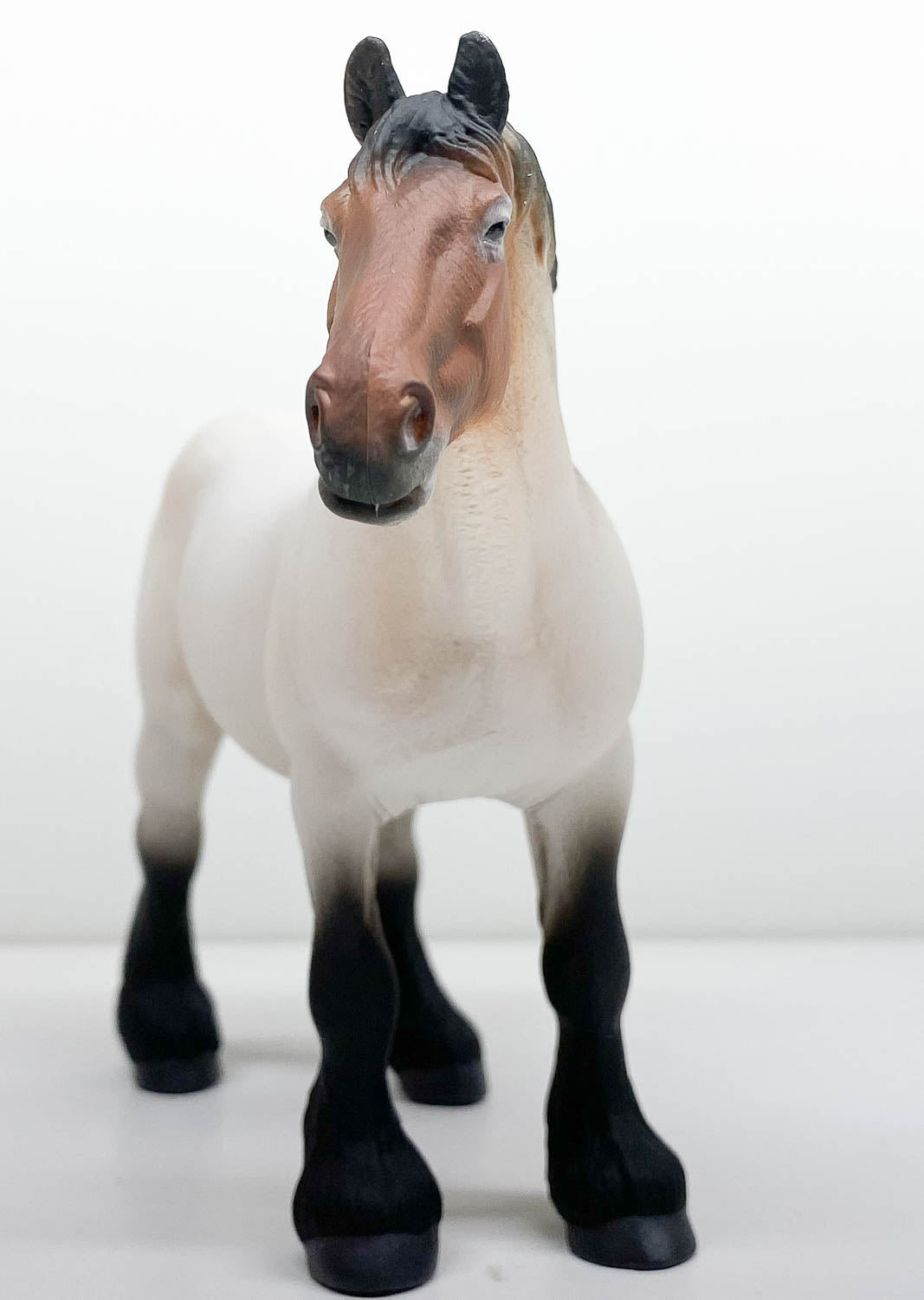 Dutch Draft Mare, Bay Roan