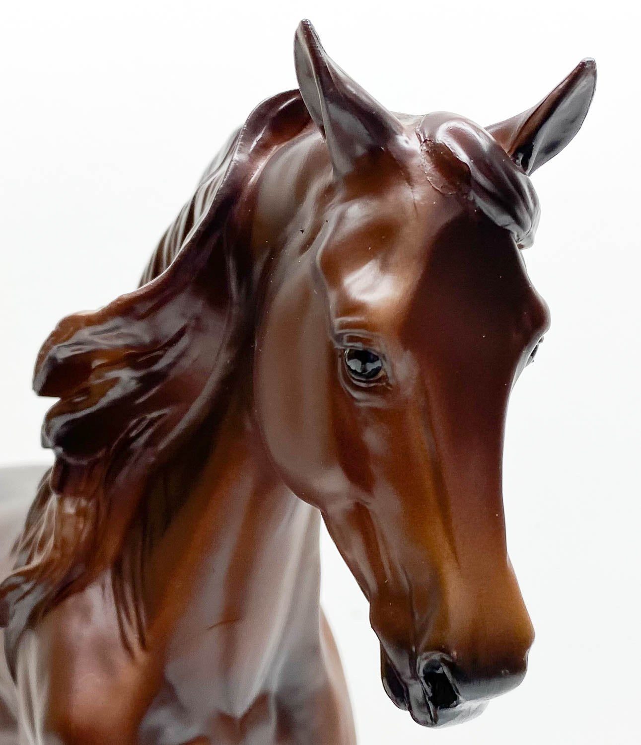 Foundation Morgan ~ MorganQuest Native Sun