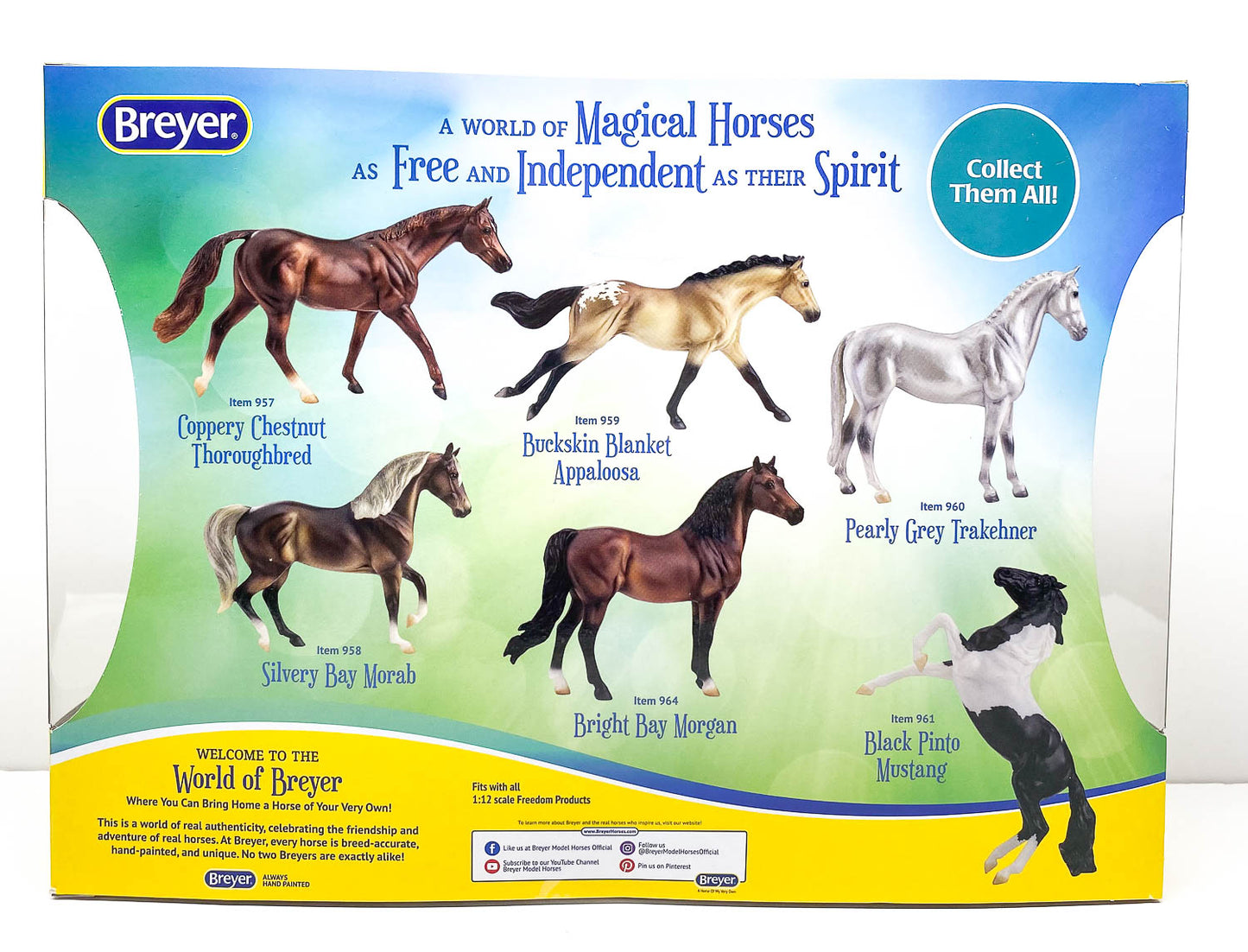 Rearing Mustang, Black Pinto