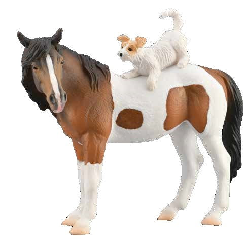 Pinto Mare and Terrier Dog