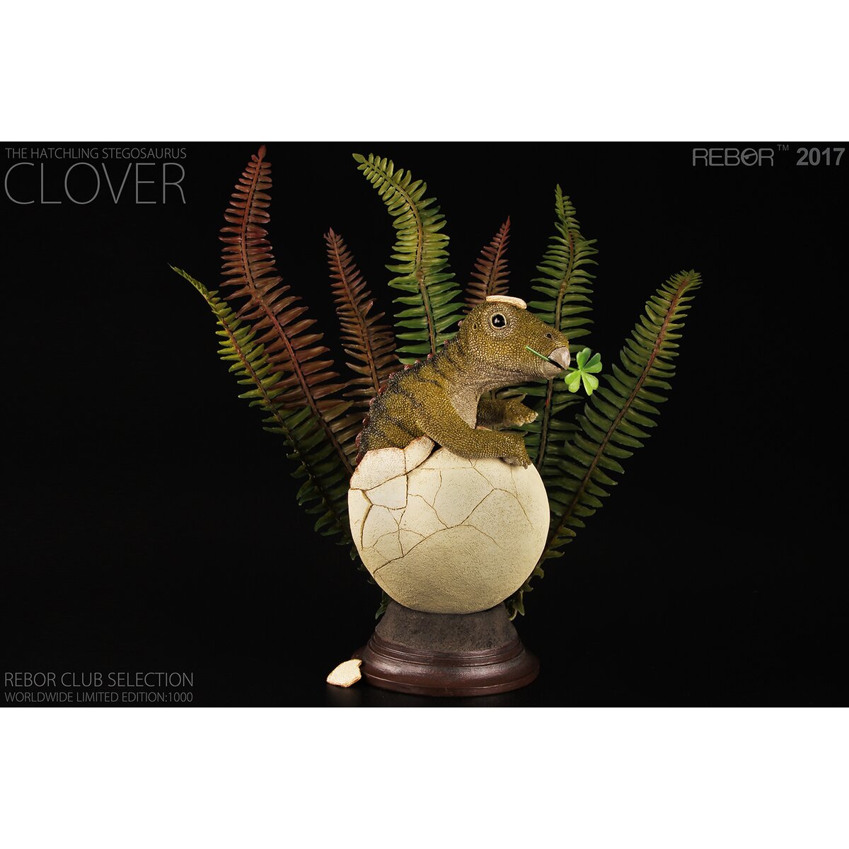 Stegosaurus Hatchling ~ Clover - REBOR Club Selection - Ltd Ed