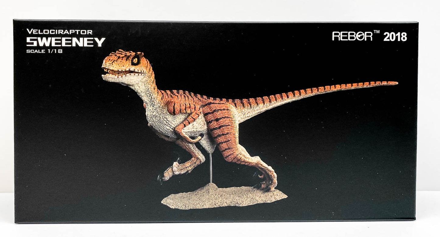 Velociraptor ~ Sweeney - REBOR Museum Class Replicas