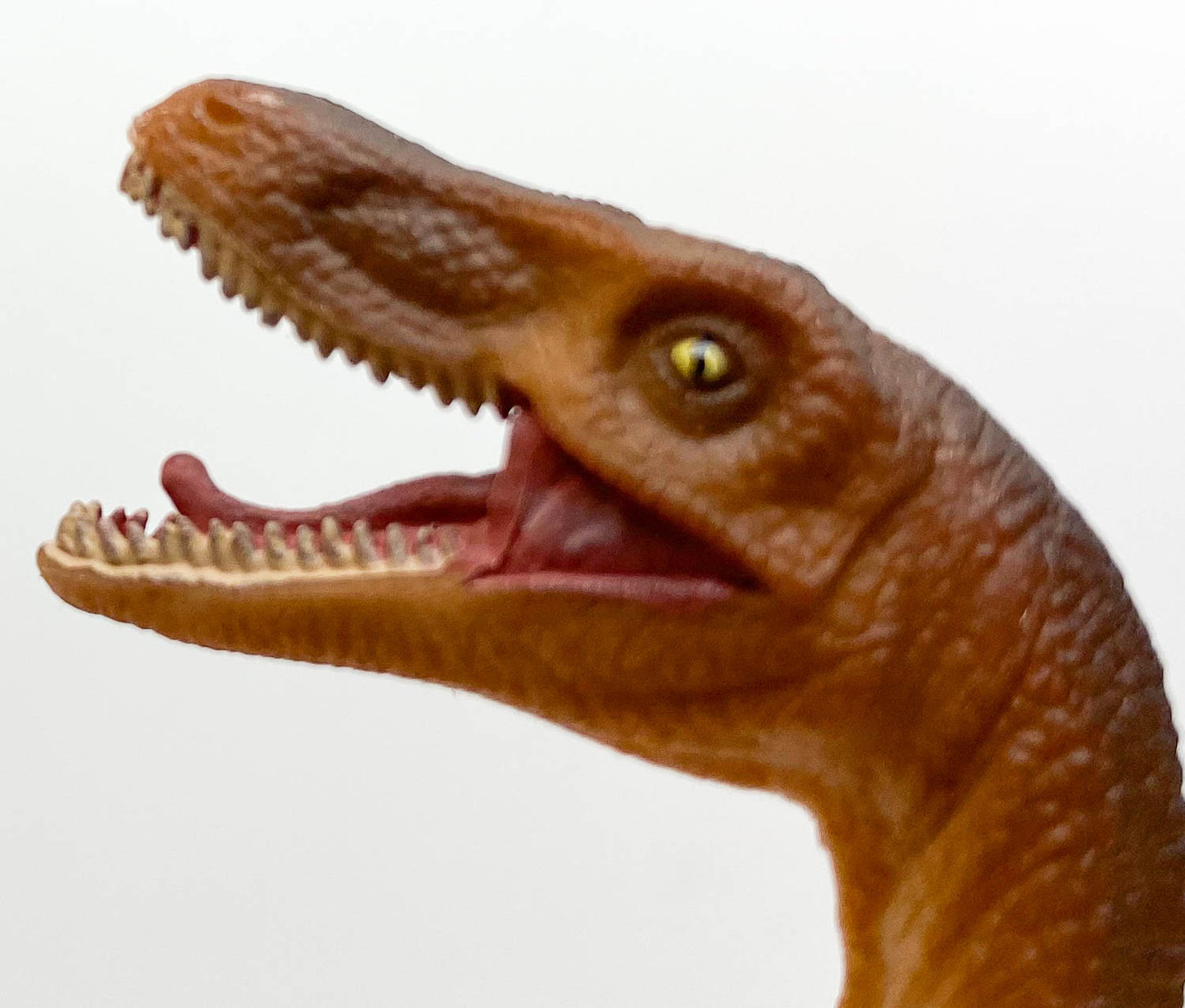 Velociraptor