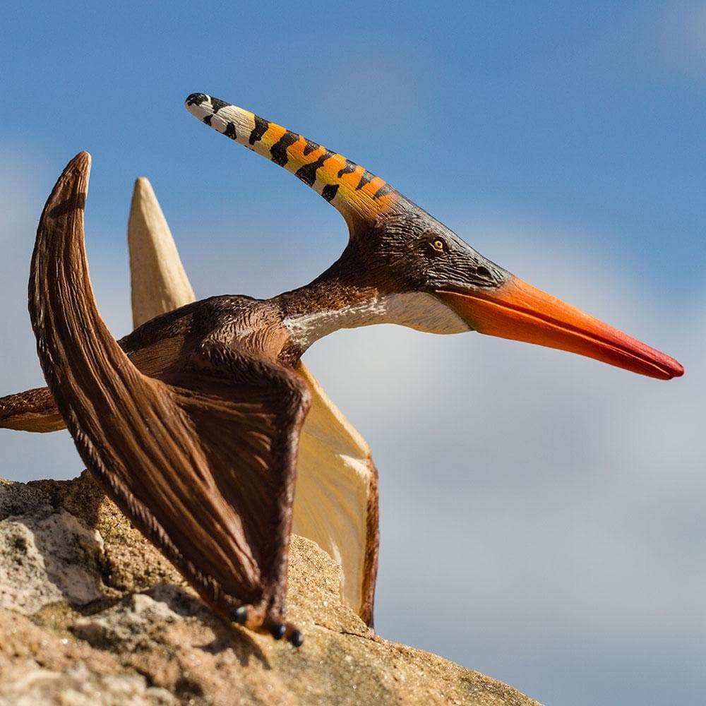Pteranodon