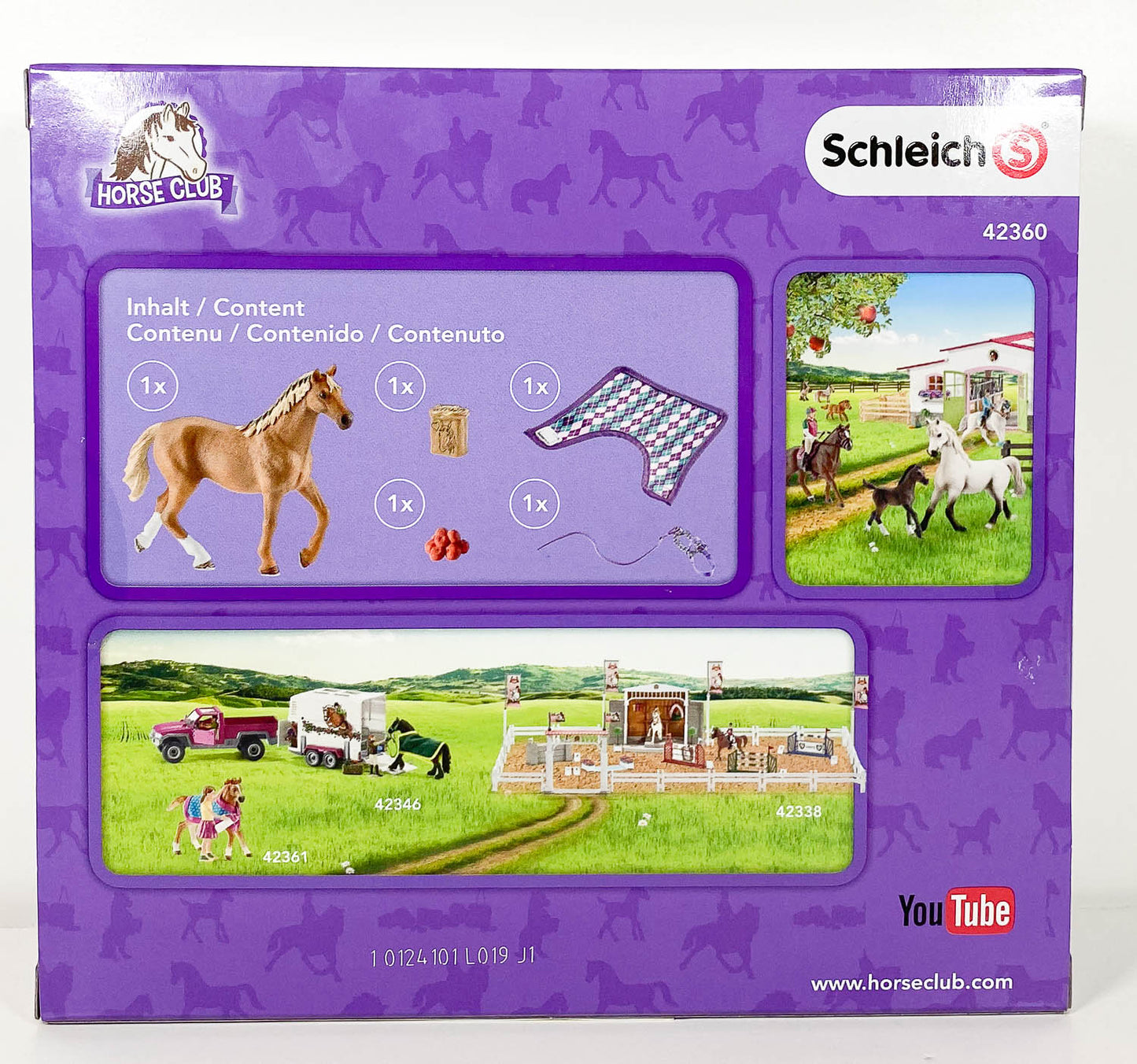 English Thoroughbred with Blanket, Halter and Treats