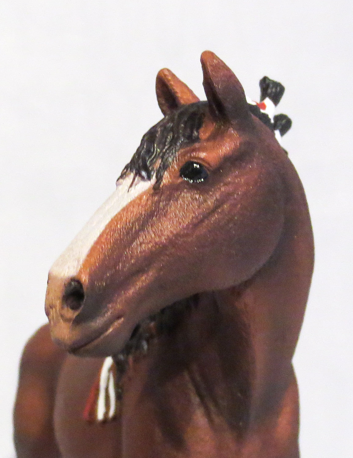 Clydesdale Gelding, Bay - triple-mountain