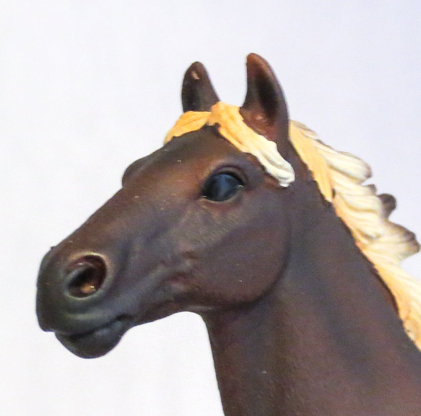 Mustang Stallion, Liver Chestnut