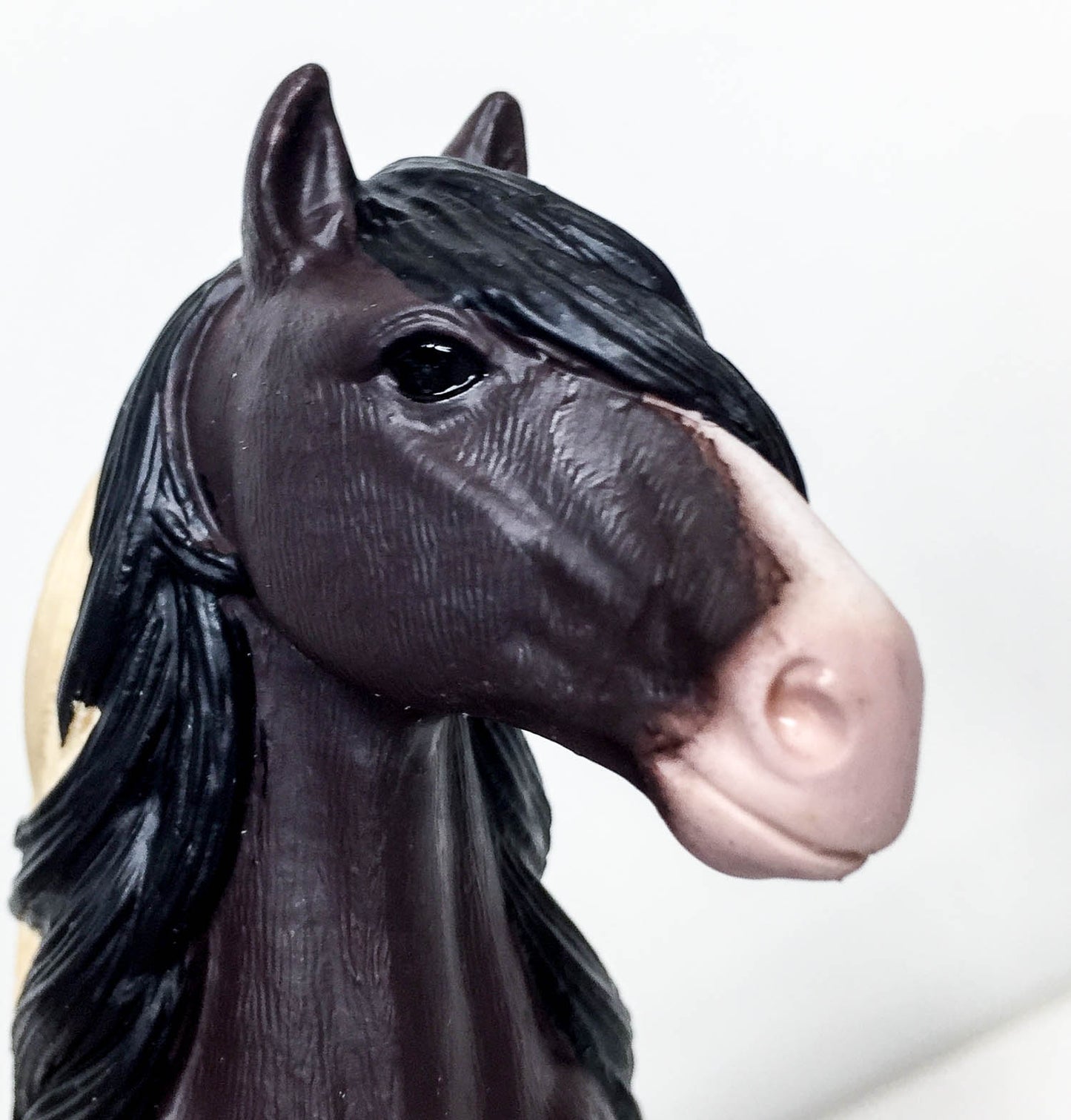 Tinker Stallion, Bay Pinto