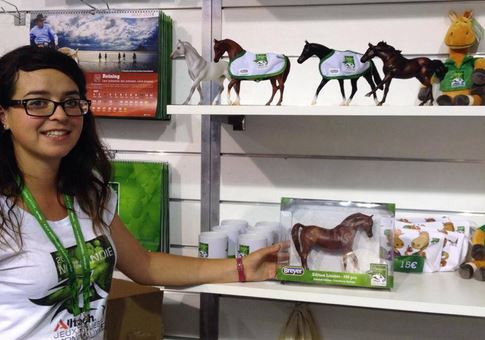 Blanket - WEG 2014 Normandy, France SR (Classic)