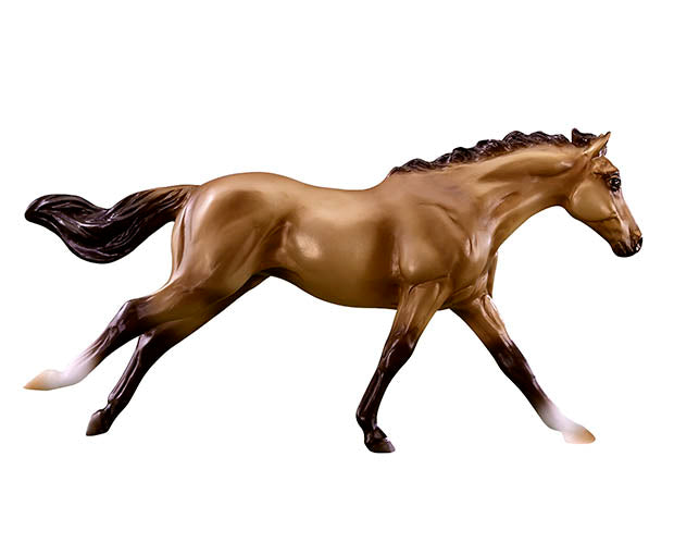 Appendix Quarter Horse Mare ~ Bella, Horse of the Year - triple-mountain