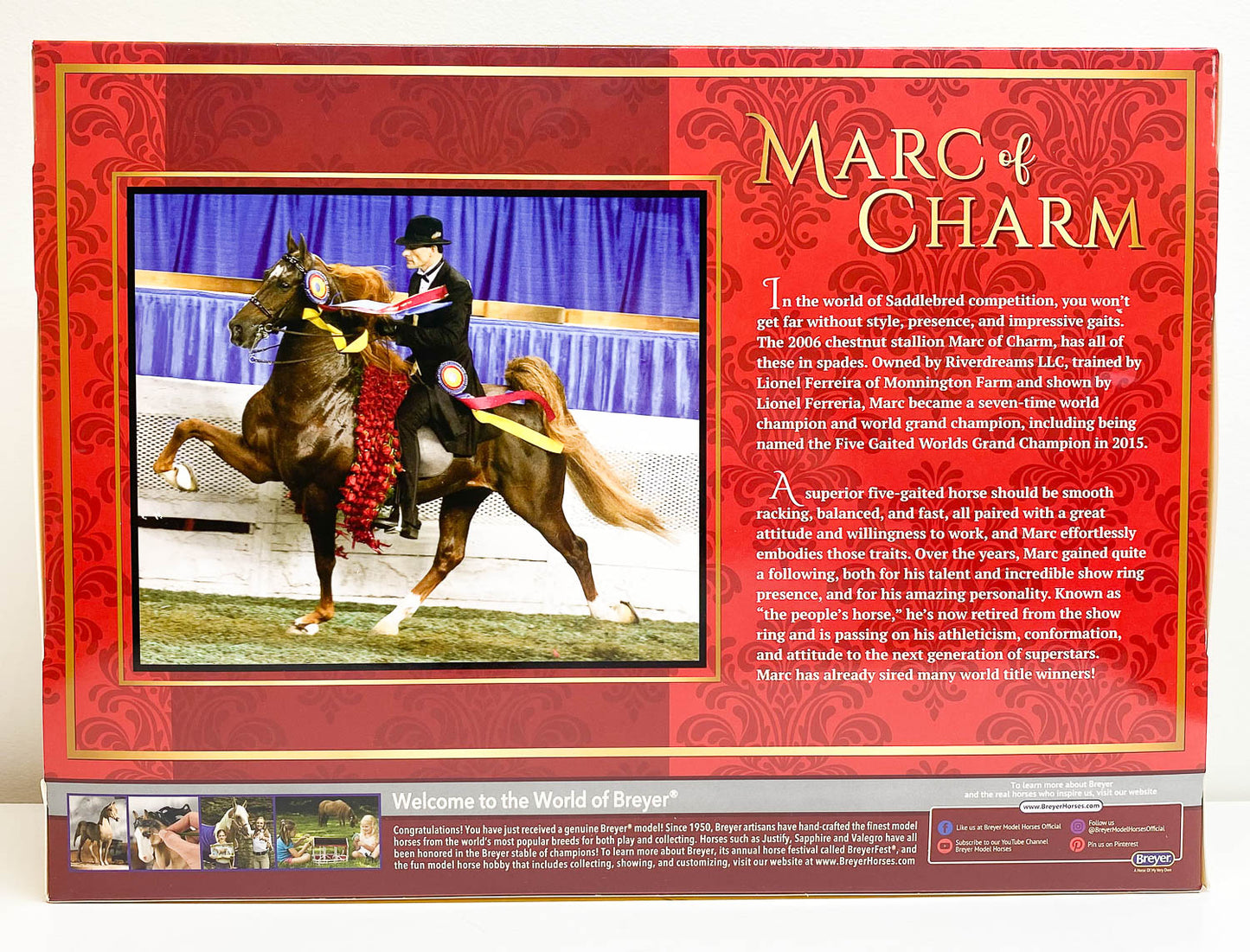 Racking Saddlebred ~ WC Marc of Charm