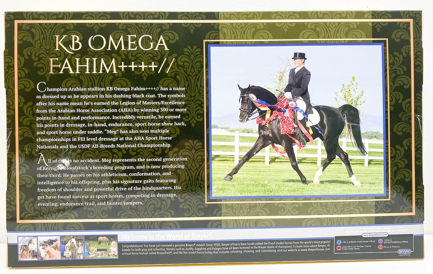 Shagya Arabian ~ KB Omega Fahim++++//