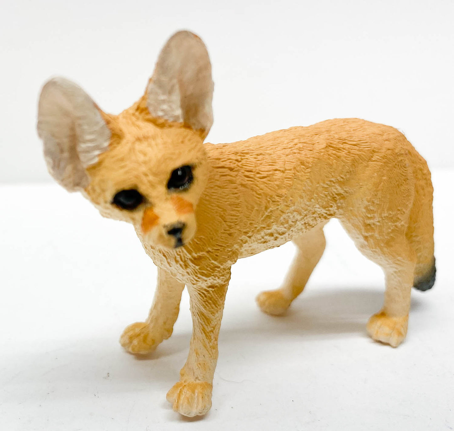 Fennec Fox