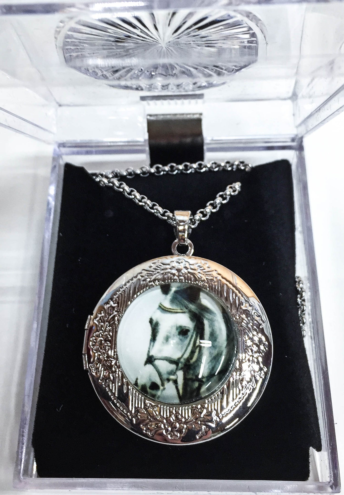 Grey Horse Head Glass Cabochon Locket