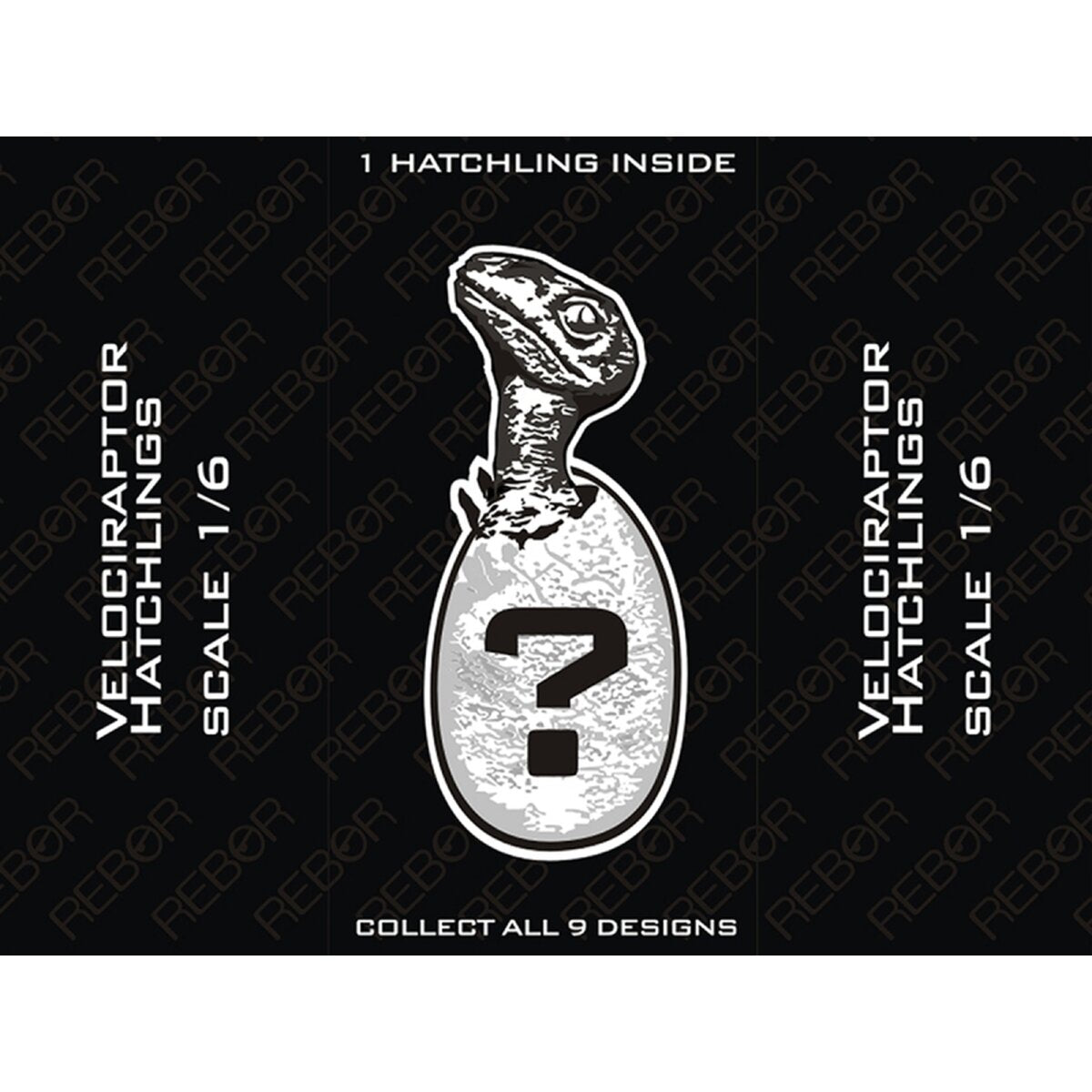 Velociraptor Hatchlings, Blind Box - REBOR Museum Class Replicas