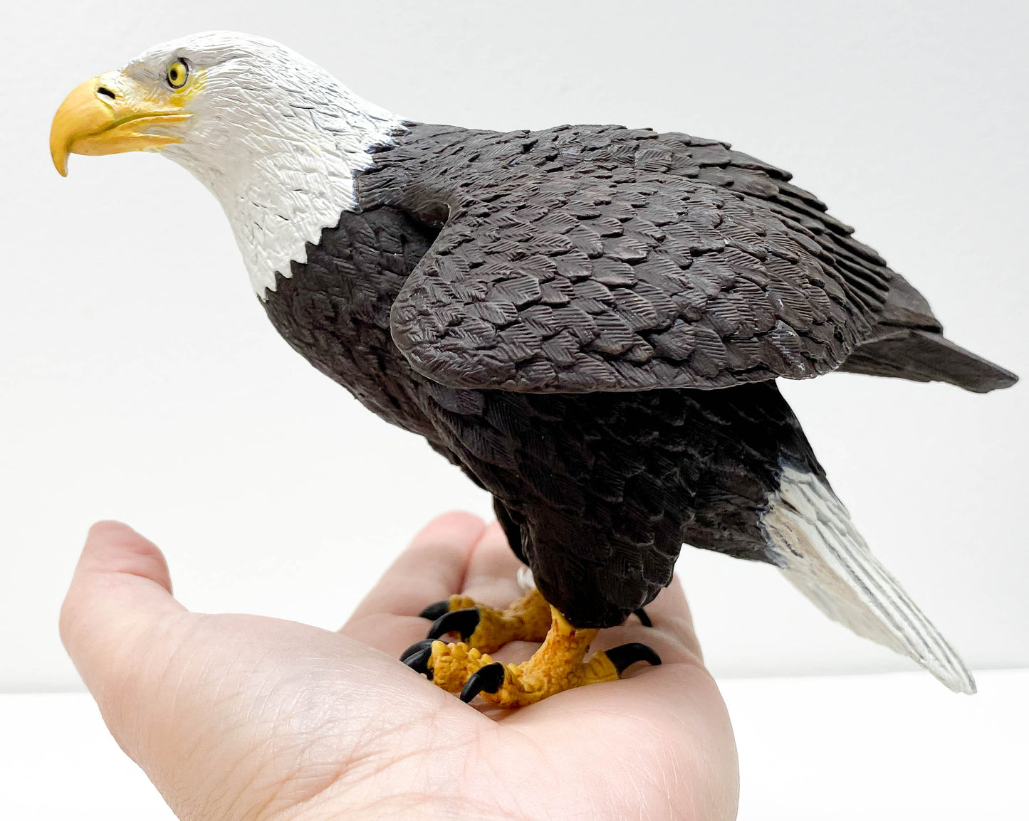 Bald Eagle (Large)