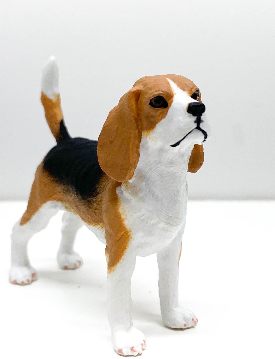 Beagle