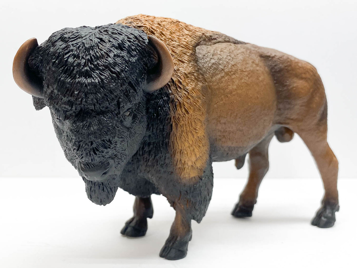 Bison - American Bison (Large)