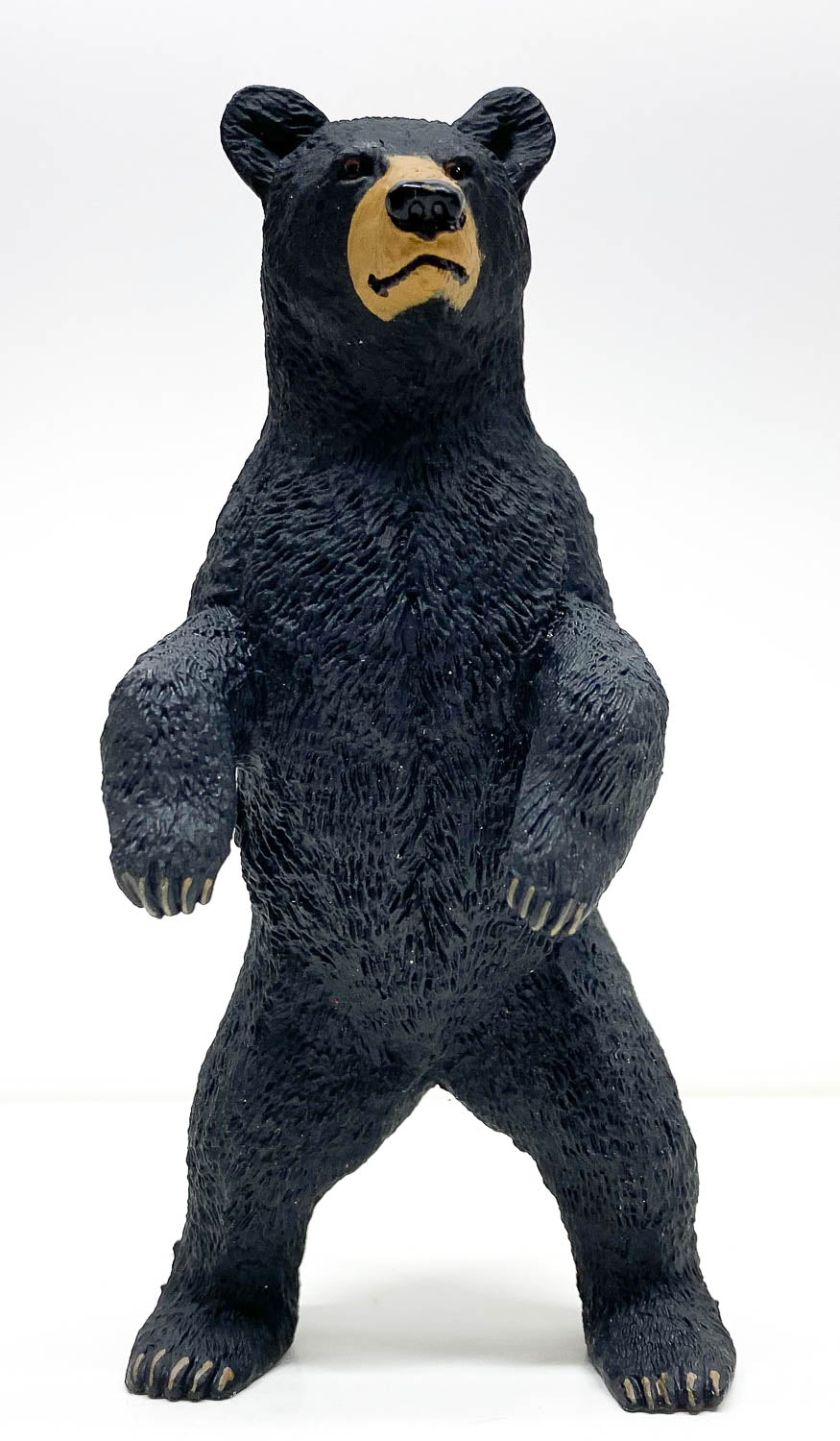 Black Bear, Standing