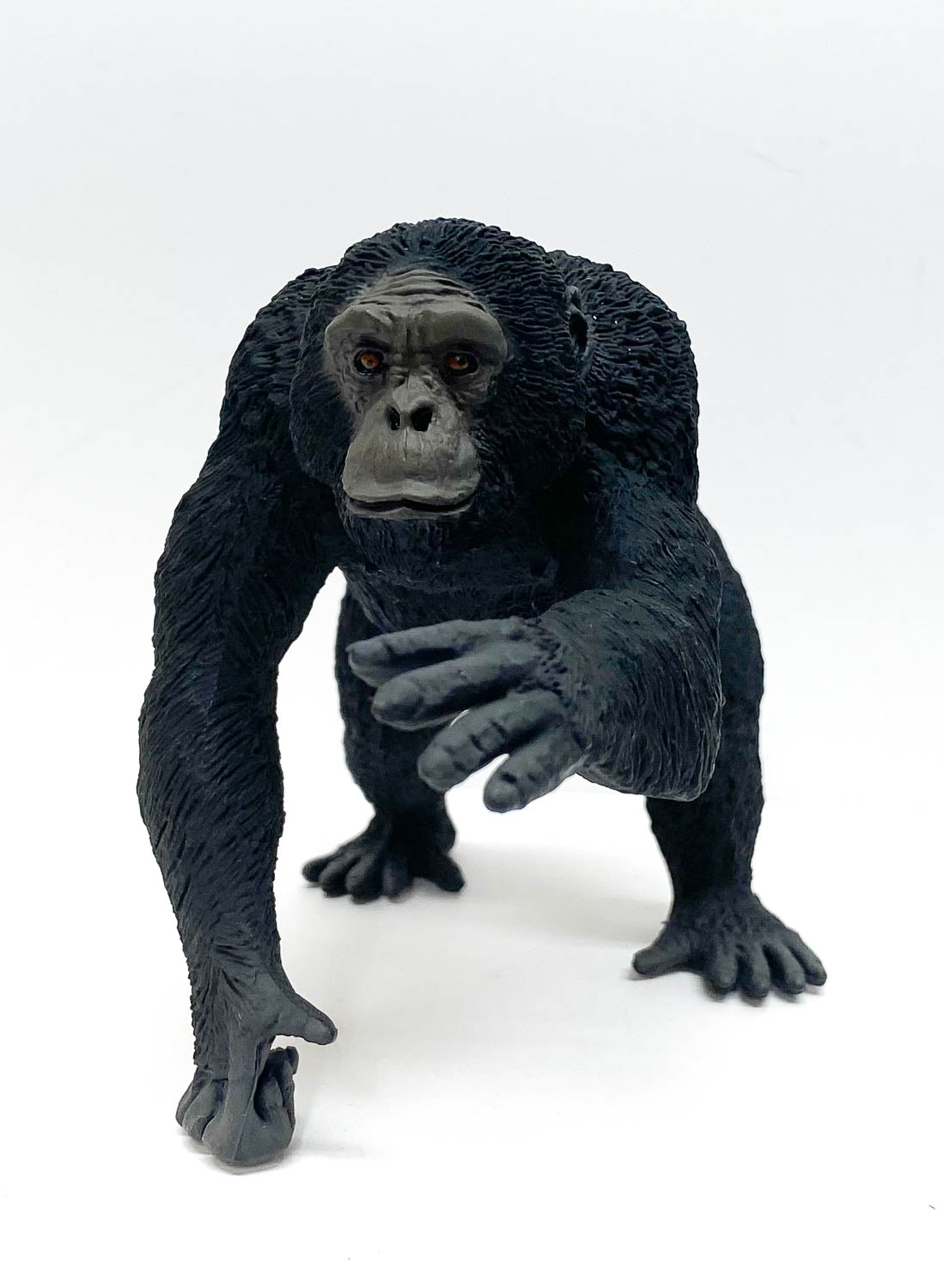 Chimpanzee (Large)