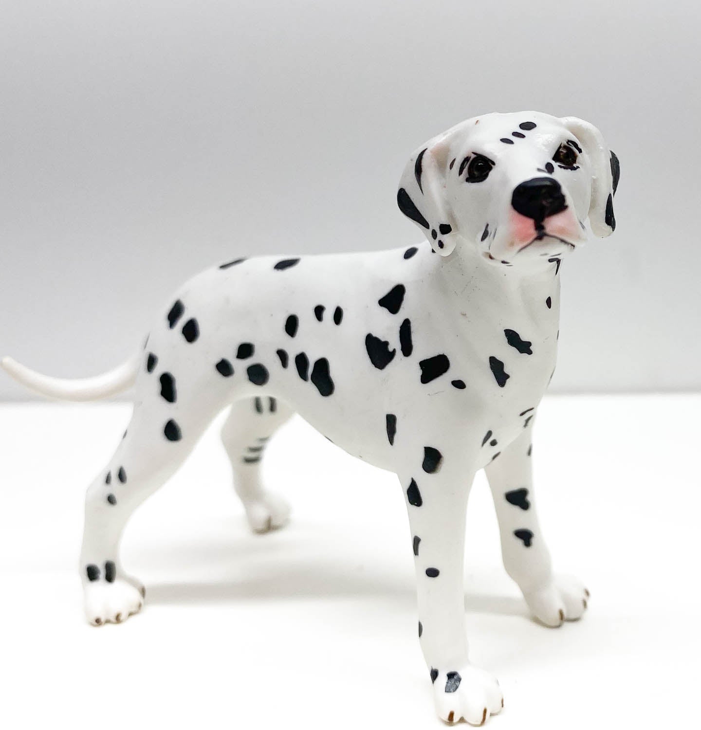 Dalmatian