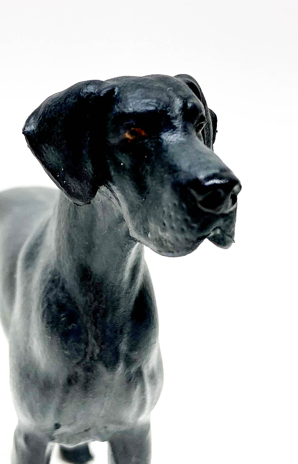 Great Dane