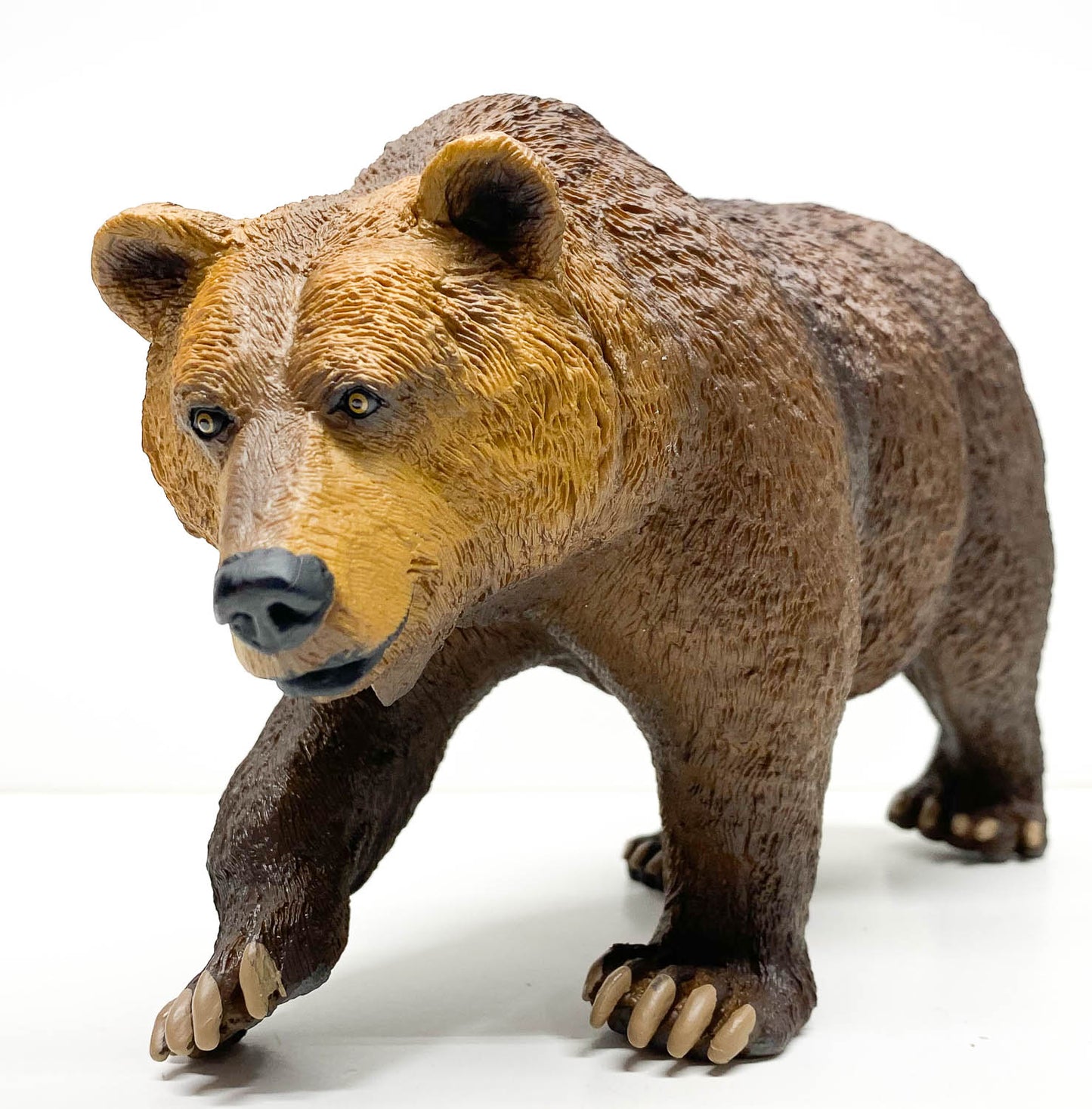 Grizzly Bear, Walking (Large)