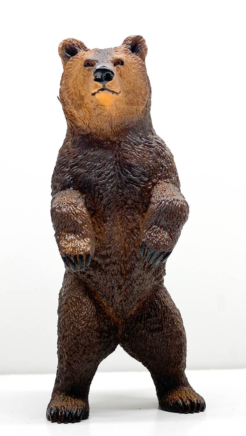 Grizzly Bear, Standing