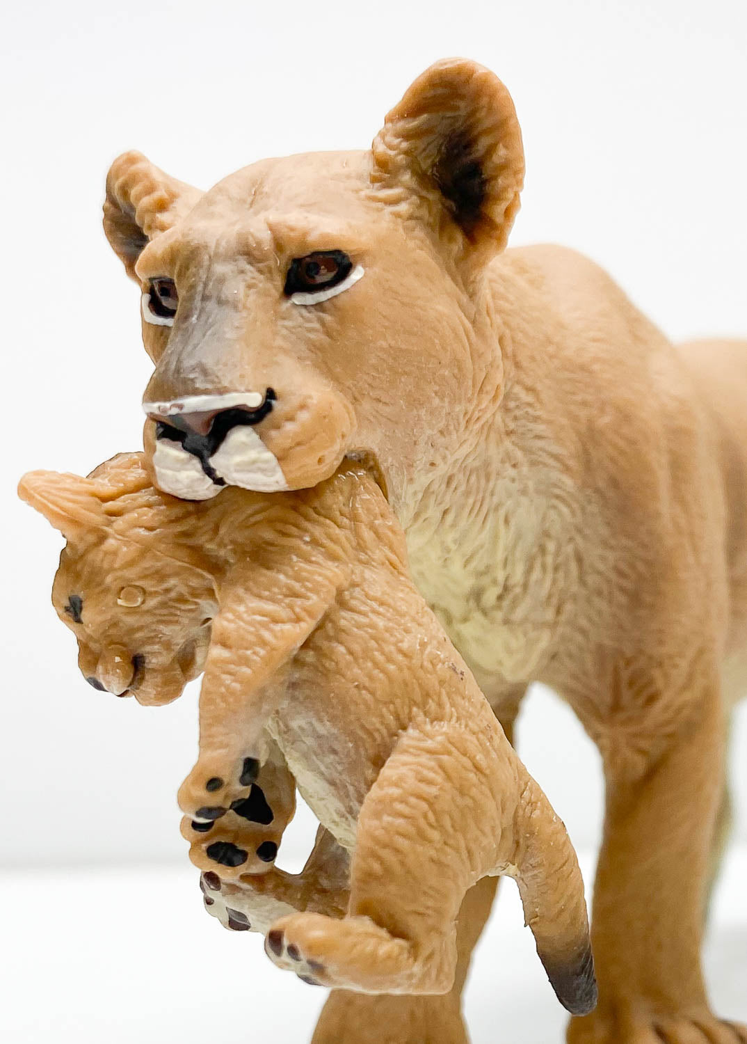 Lioness With Cub
