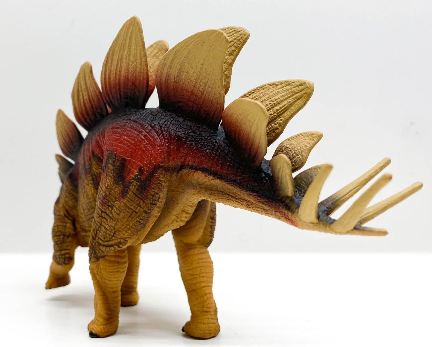 Stegosaurus